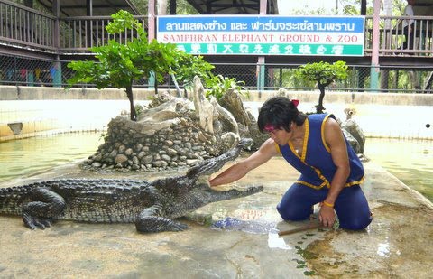 ลานแสดงช้างและฟาร์มจระเข้สามพราน